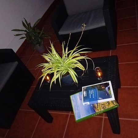 ポンタ・デルガダCasa 84アパートメント エクステリア 写真